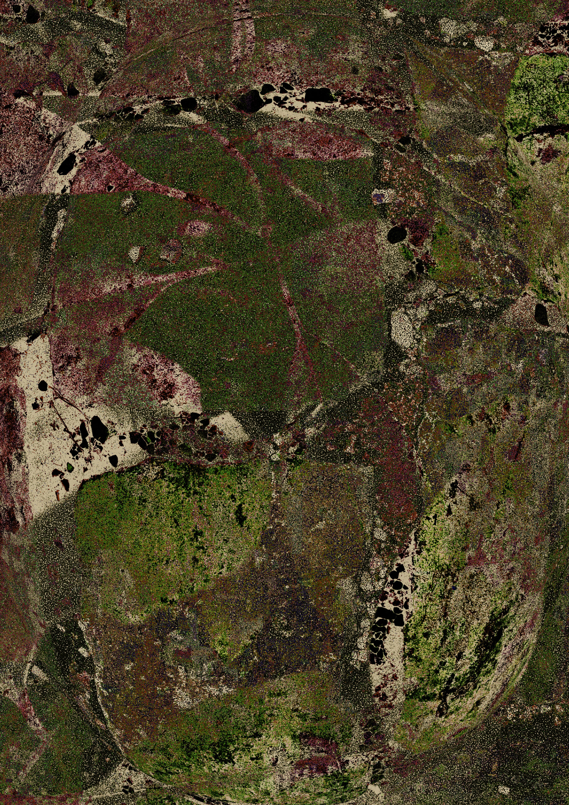 Texture_6